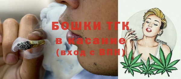 индика Покачи