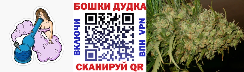 где можно купить   Кашира  Марихуана VHQ 